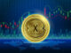 XDC price prediction as coin rallies by 31% in a week