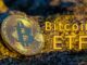 Spot Bitcoin ETF a “done deal,” but how does this boost optimism for Shiba Memu?