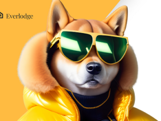 Shiba Inu's Shibarium hits new milestone, Solana whale moves $11M, Everlodge price rises 150%