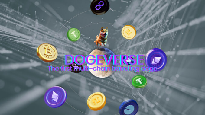 New Meme Coin ICO Dogeverse Raises $6 Million After Completing Coinsult Audit