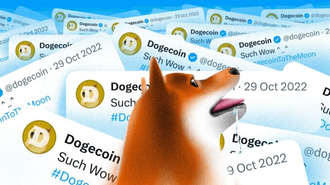 DogeChain to Cease Operations: Withdraw Dogecoin (DOGE) Now